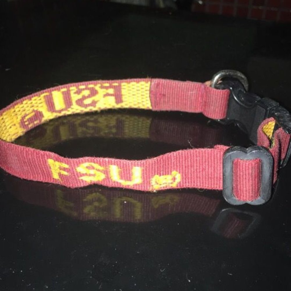 FSU Seminoles Small Medium Dog Collar